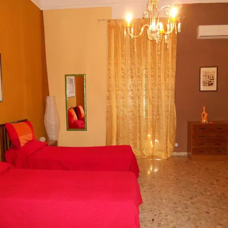 Piccadilly House * Катания
