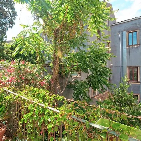 Piccadilly House Отель типа 